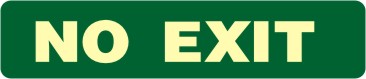 E 232
